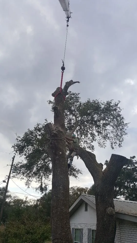 Local lawn mowing service in Plant City, FL by Joes Tree Service