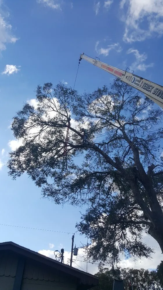 Expert lawn mowing service in Plant City, FL by Joes Tree Service