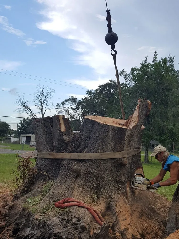 Trusted landscape design experts serving Plant City, FL - Joes Tree Service