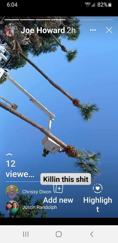 Professional landscape design experts serving Plant City, FL - Joes Tree Service