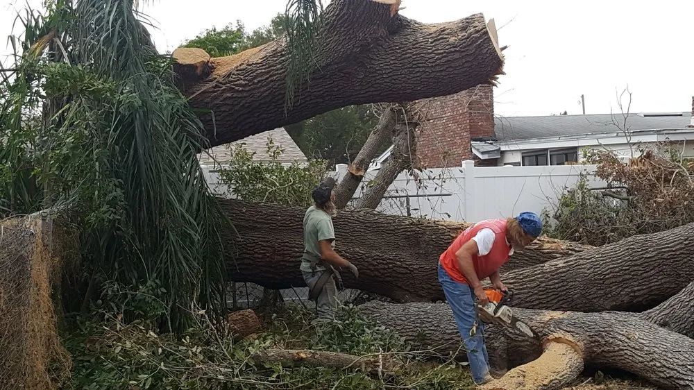 Trusted lawn care service for residential properties in Plant City, FL by Joes Tree Service