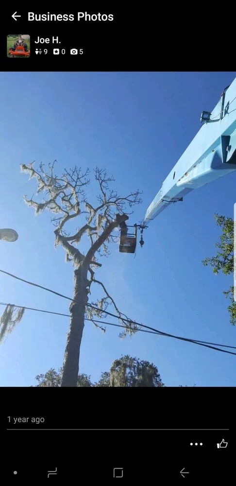 Expert landscape installation for outdoor upgrades across Plant City, FL - Joes Tree Service