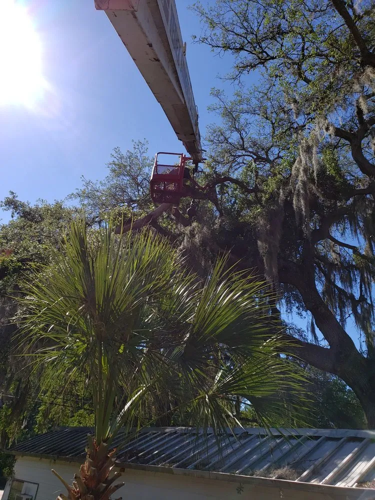 Custom landscape design experts serving Plant City, FL - Joes Tree Service