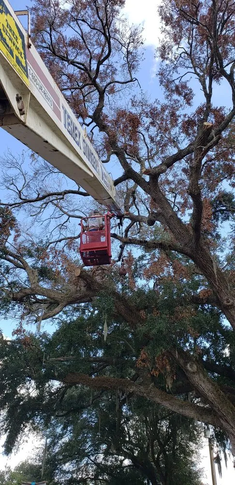 Custom landscape installation in Plant City, FL by Joes Tree Service