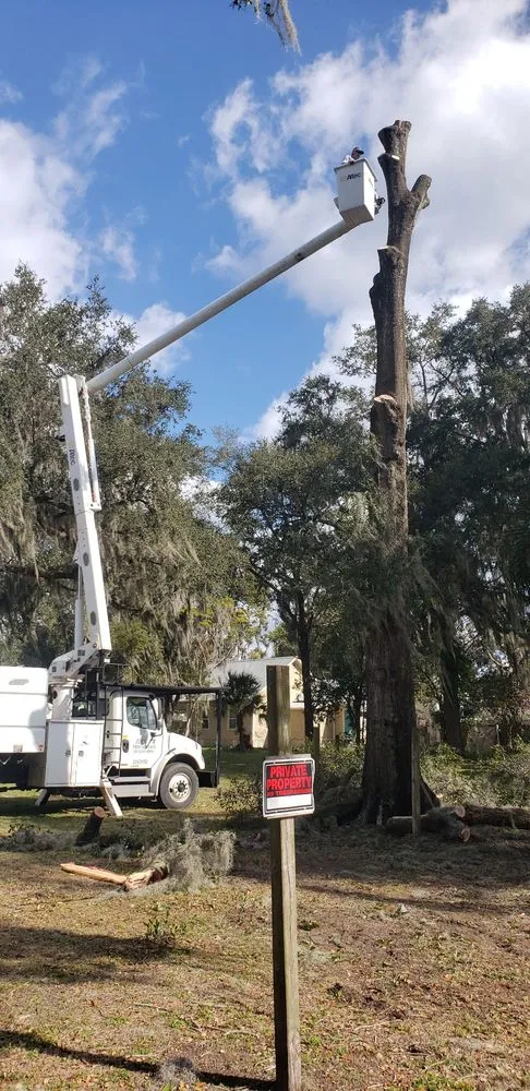 Affordable yard maintenance for year-round maintenance in Plant City, FL by Joes Tree Service