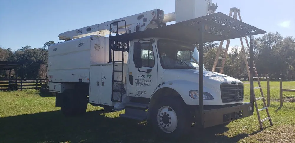Local yard cleanup service in Plant City, FL by Joes Tree Service