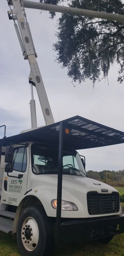 Affordable yard cleanup service for homes in Plant City, FL by Joes Tree Service