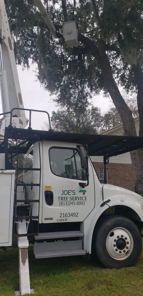 Professional outdoor landscaping experts serving Plant City, FL - Joes Tree Service