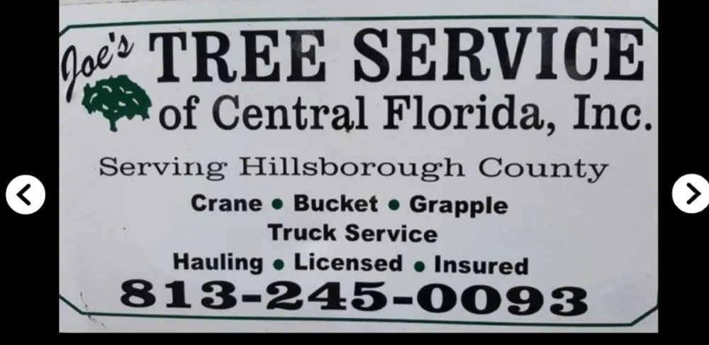 Local yard maintenance experts serving Plant City, FL - Joes Tree Service