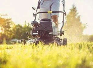 Expert landscape design in San Antonio, TX by Joe's Tree Services