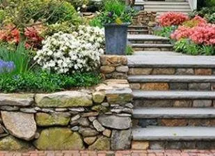 Expert yard maintenance for residential properties in San Antonio, TX by Joe's Tree Services