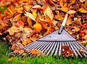 Affordable garden landscaping experts serving San Antonio, TX - Joe's Tree Services