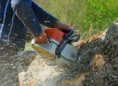 Affordable outdoor landscaping near you across San Antonio, TX - Joe's Tree Services