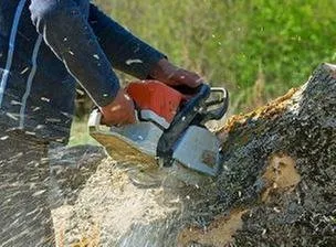 Affordable lawn mowing service for homes in San Antonio, TX by Joe's Tree Services