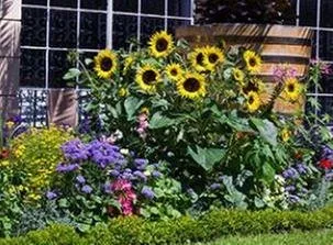 Top-rated landscape design in San Antonio, TX by Joe's Tree Services