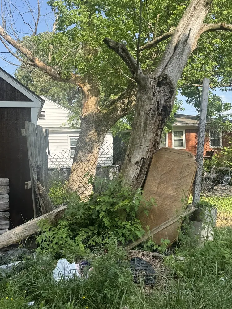 Top-rated landscape installation experts serving Shively, KY - Joe's Tree Trimming Hauling & More