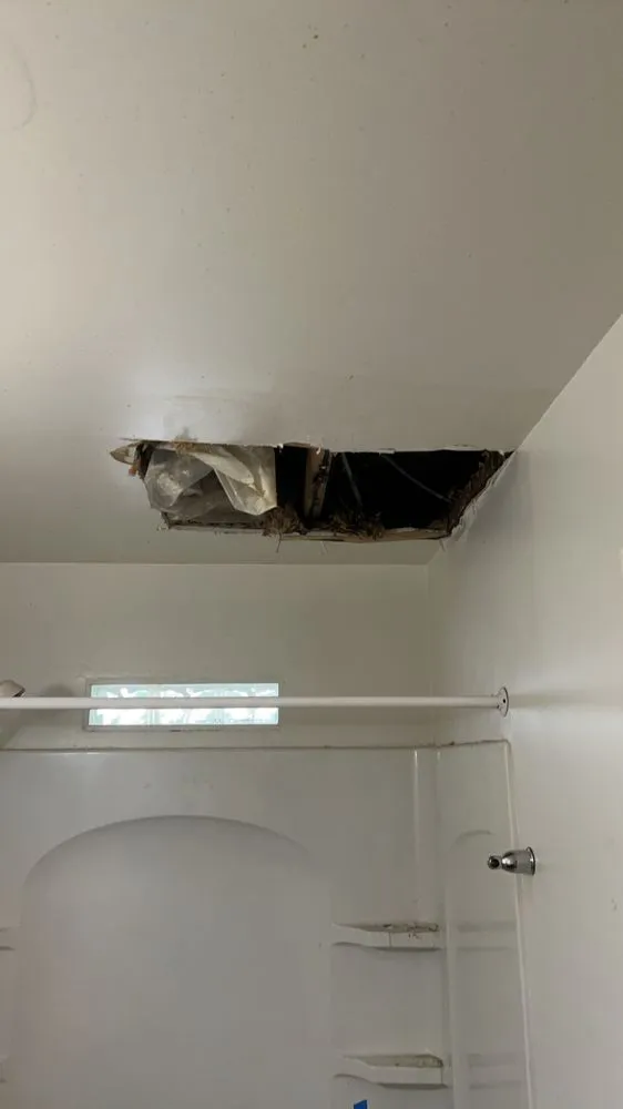 Top-rated garden landscaping experts serving Shively, KY - Joe's Tree Trimming Hauling & More