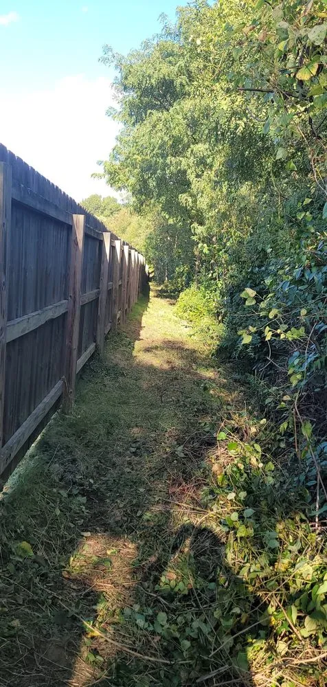 Affordable residential landscaping for residential properties in Shively, KY by Joe's Tree Trimming Hauling & More