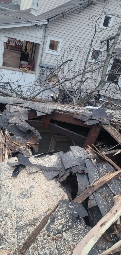 Affordable landscape installation in Shively, KY by Joe's Tree Trimming Hauling & More