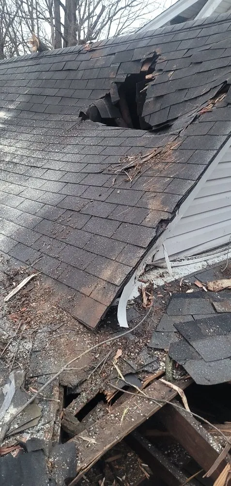 Professional landscaping services in Shively, KY - Joe's Tree Trimming Hauling & More