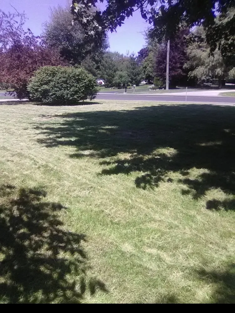 Trusted lawn mowing service experts serving East China, MI - Joe's Yard Care