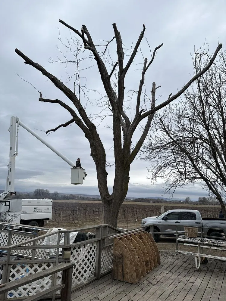 Top-rated yard maintenance for residential properties in Yakima, WA by Joe's Yard Service