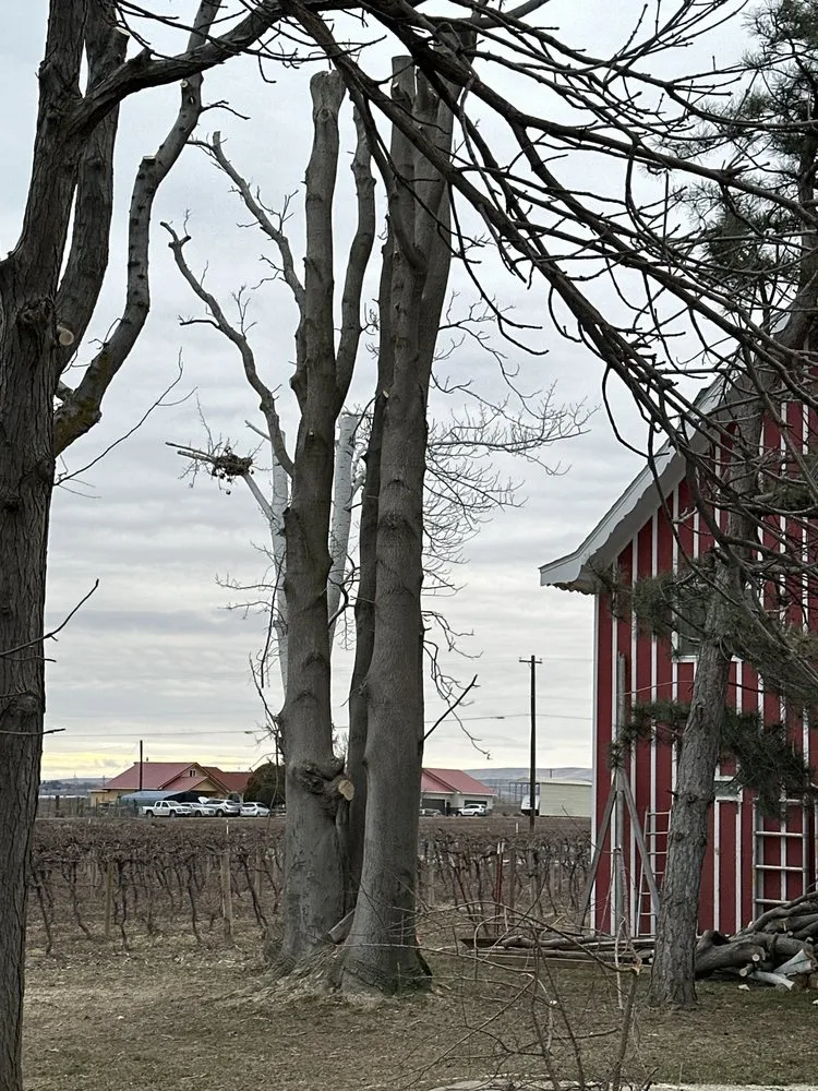 Top-rated landscaping services for outdoor upgrades across Yakima, WA - Joe's Yard Service