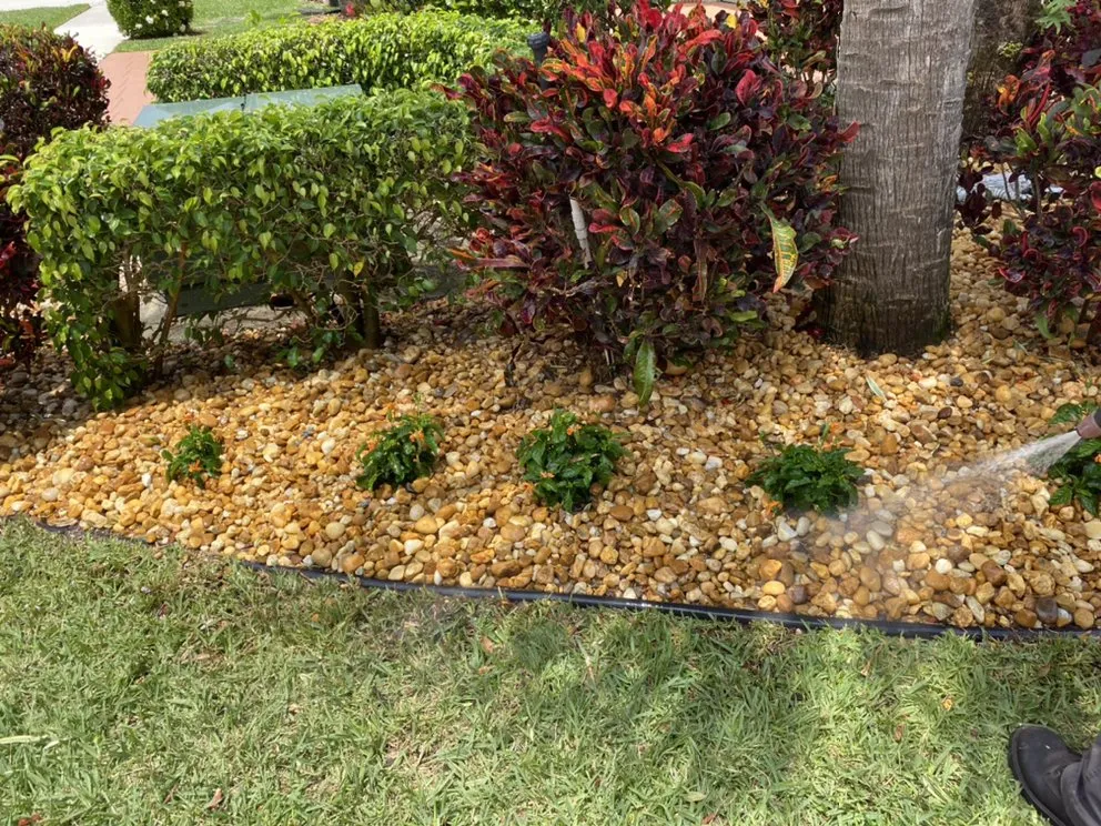 Affordable yard cleanup service in Lake Worth, FL by Joey & Sons