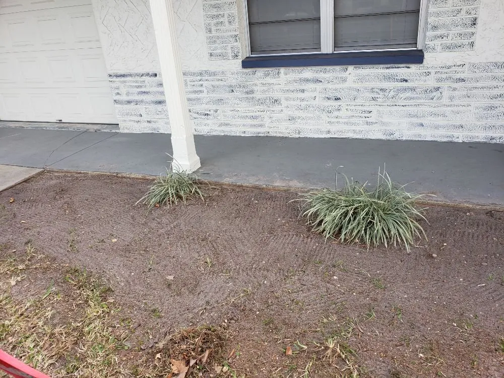 Expert landscape design for outdoor upgrades in Port Richey, FL by Joey D's Lawn Goat