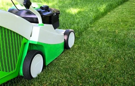 Affordable landscape installation in Austin, TX by Joey Hayes Lawn Care