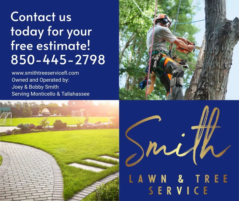 Professional yard maintenance for outdoor upgrades across Monticello, FL - Joey Smith Stump Grinding and Tractor Work
