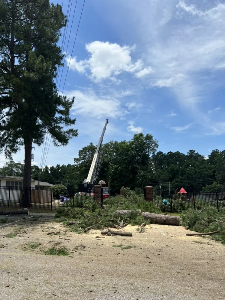 Local lawn mowing service for year-round maintenance across Monticello, FL - Joey Smith Stump Grinding and Tractor Work
