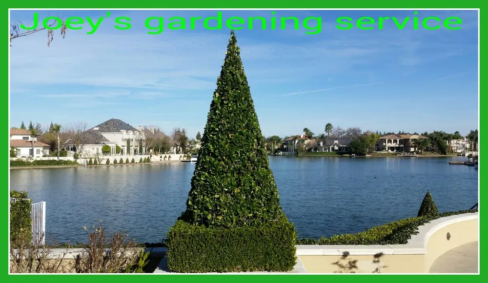 Professional lawn mowing service experts serving Fresno, CA - Joey's Gardening Services