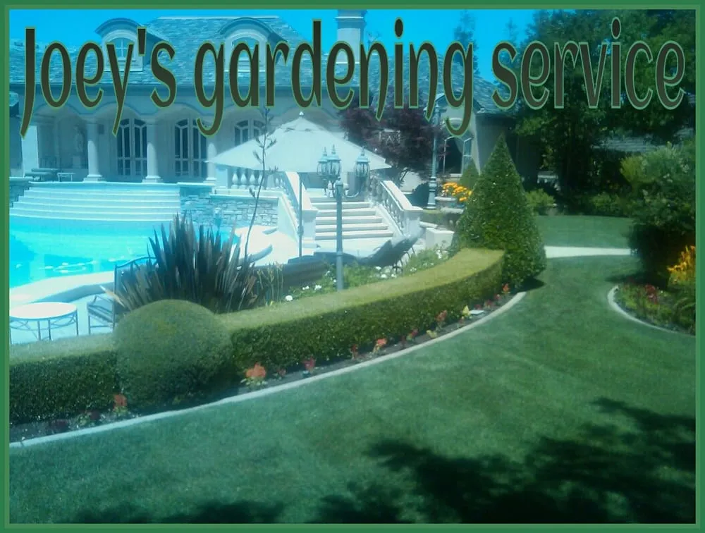 Local lawn mowing service in Fresno, CA - Joey's Gardening Services