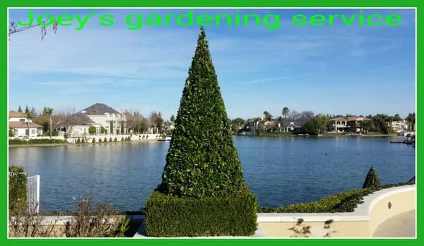 Joey's Gardening Services Logo