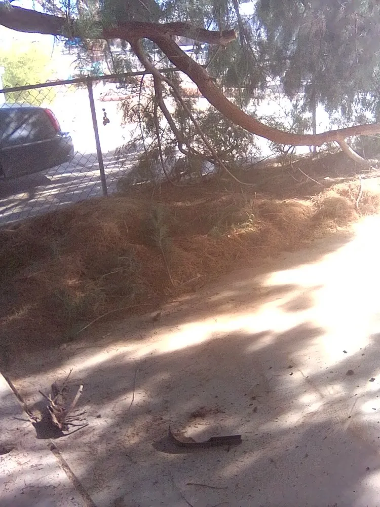 Reliable outdoor landscaping for outdoor upgrades in Bullhead City, AZ by Joeys Handyman Services