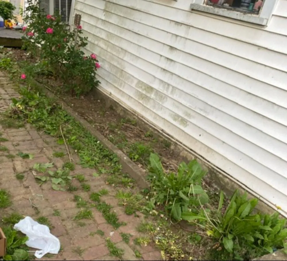 Professional garden landscaping for year-round maintenance in Cheltenham Township, PA by Joeys Landscape & Dog Walking Services