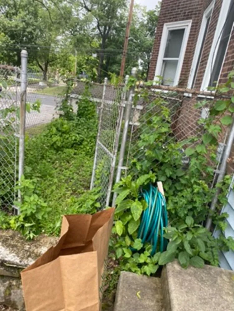 Expert yard cleanup service for year-round maintenance across Cheltenham Township, PA - Joeys Landscape & Dog Walking Services