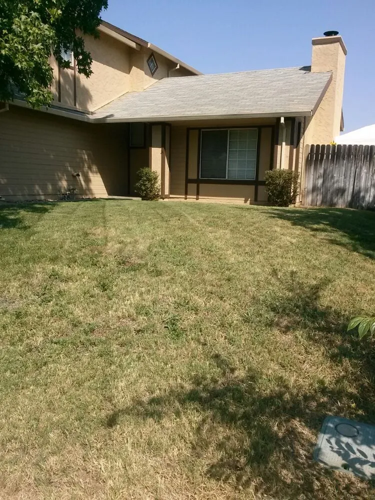 Custom garden landscaping for outdoor upgrades in Elk Grove, CA by Joey's Landscape and Maintenance