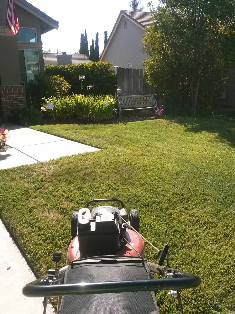 Professional lawn mowing service in Elk Grove, CA by Joey's Landscape and Maintenance