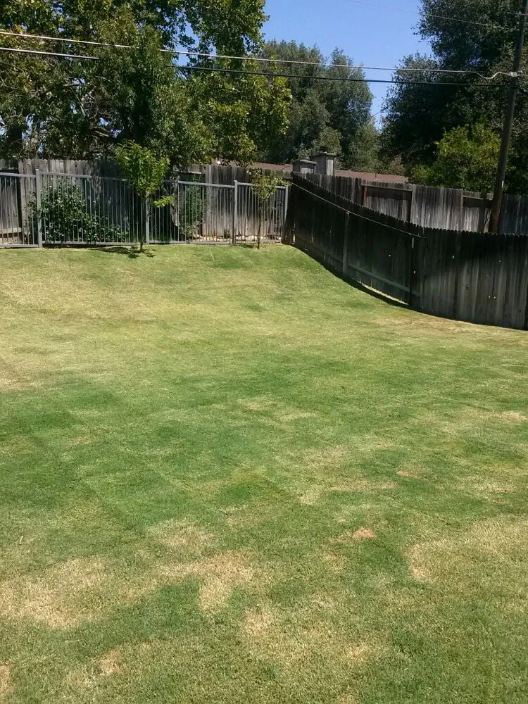 Expert residential landscaping experts serving Elk Grove, CA - Joey's Landscape and Maintenance