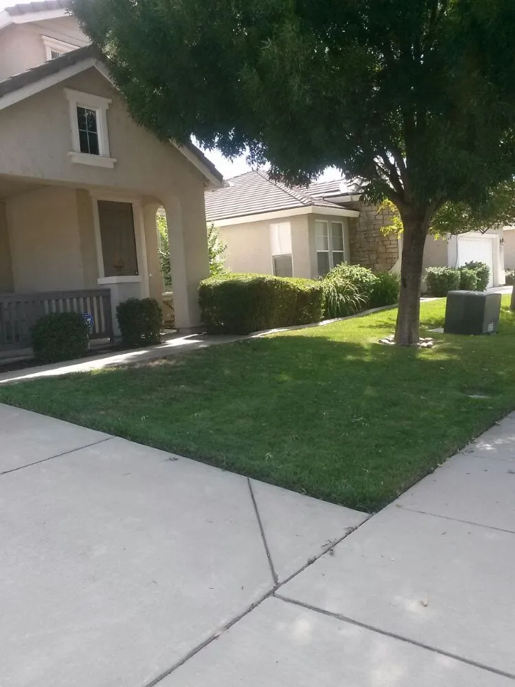 Custom outdoor landscaping for outdoor upgrades in Elk Grove, CA by Joey's Landscape and Maintenance