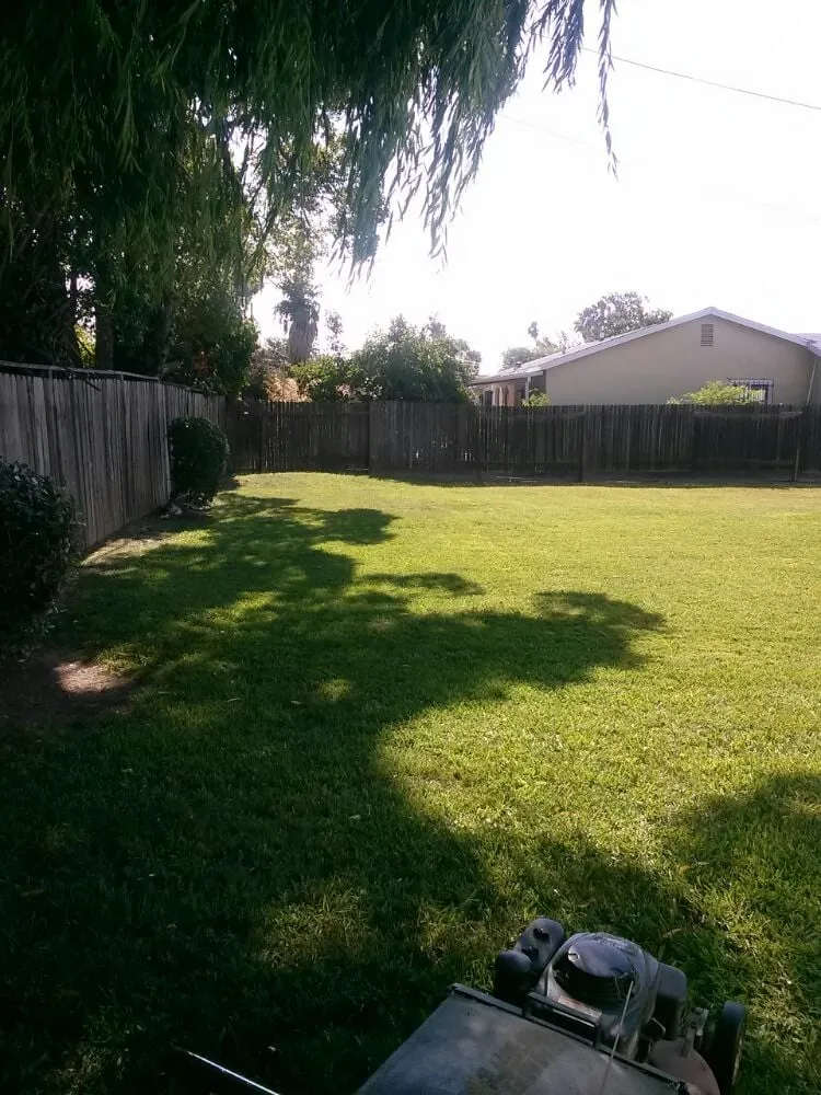 Expert residential landscaping with custom design in Elk Grove, CA by Joey's Landscape and Maintenance