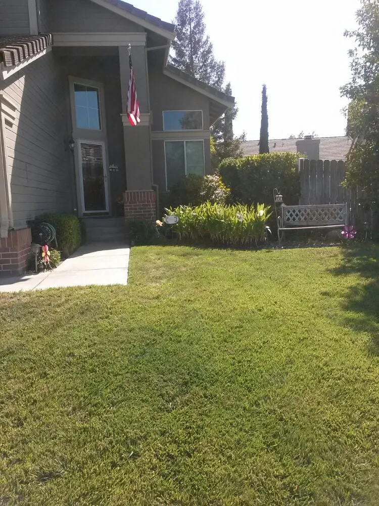 Top-rated landscaping services for beautiful yards across Elk Grove, CA - Joey's Landscape and Maintenance