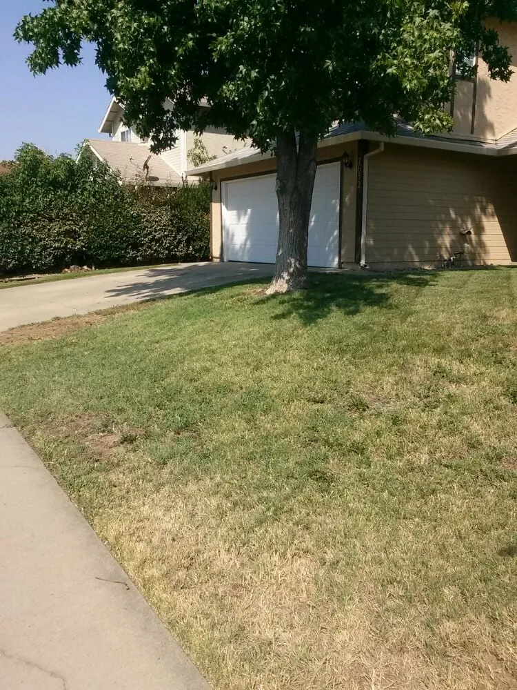 Affordable landscaping services for outdoor upgrades across Elk Grove, CA - Joey's Landscape and Maintenance