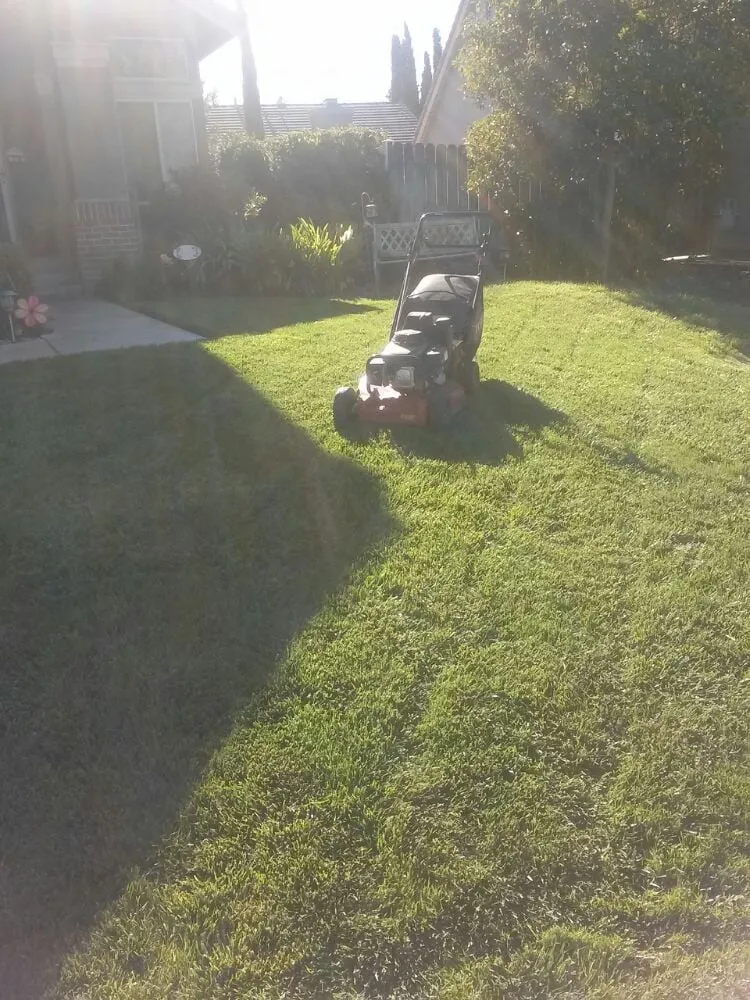 Reliable lawn mowing service in Elk Grove, CA - Joey's Landscape and Maintenance