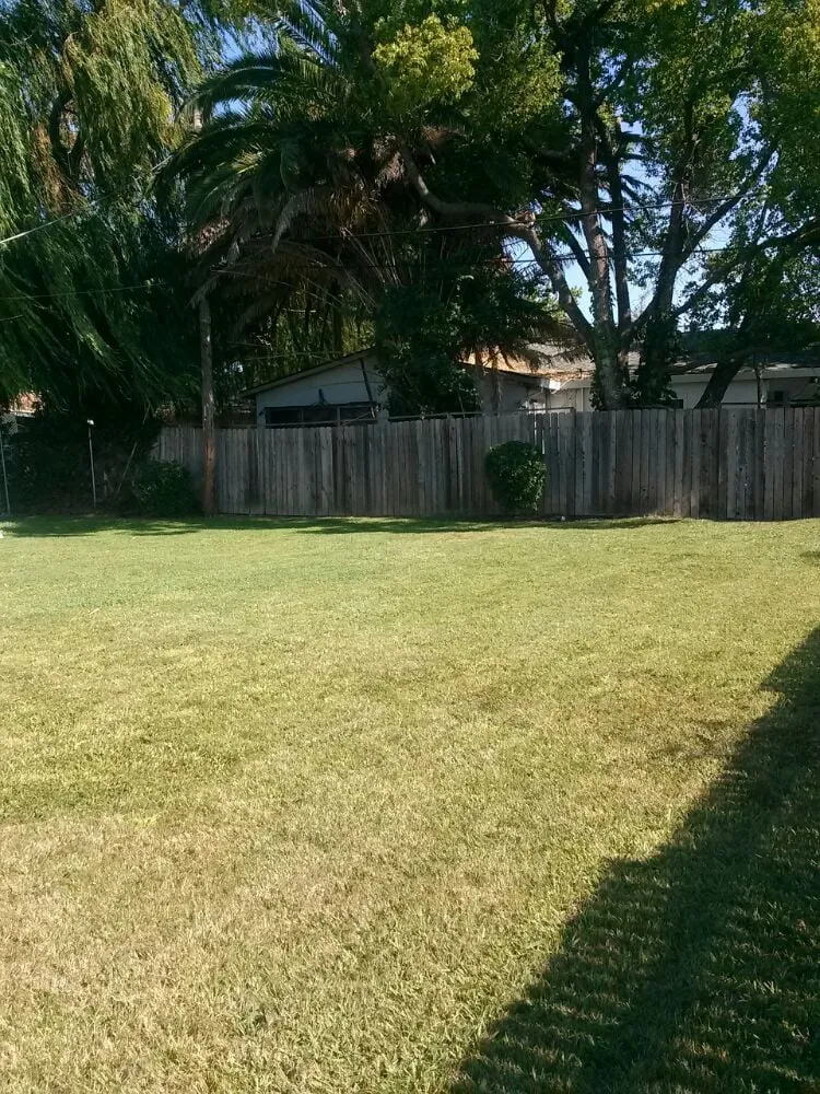 Professional lawn care service experts serving Elk Grove, CA - Joey's Landscape and Maintenance
