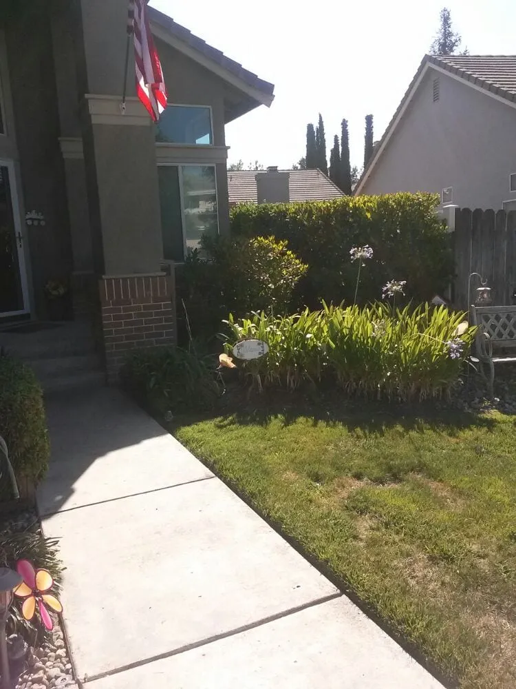 Expert outdoor landscaping in Elk Grove, CA by Joey's Landscape and Maintenance