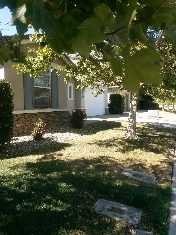 Affordable lawn care service in Elk Grove, CA by Joey's Landscape and Maintenance