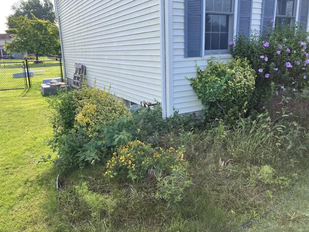 Affordable landscaping services for homes across North Tonawanda, NY - Joeys Landscaping and Lawncare